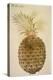 Botany: Pineapple, 1585-John White-Premier Image Canvas