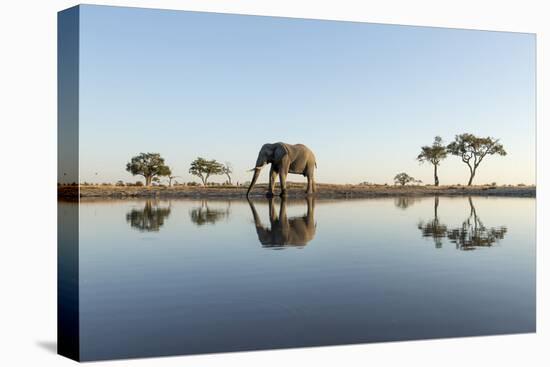 Botswana, Chobe NP, African Elephant at Water Hole in Savuti Marsh-Paul Souders-Premier Image Canvas