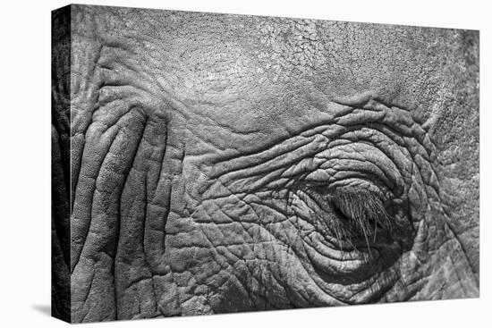 Botswana, Chobe NP, Eyeball of Elephant Standing Along Chobe River-Paul Souders-Premier Image Canvas