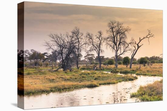 Botswana. Okavango Delta. Khwai Concession. a Small Stream at Sunrise-Inger Hogstrom-Premier Image Canvas