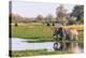 Botswana. Okavango Delta. Khwai Concession. Elephant Drinking-Inger Hogstrom-Premier Image Canvas