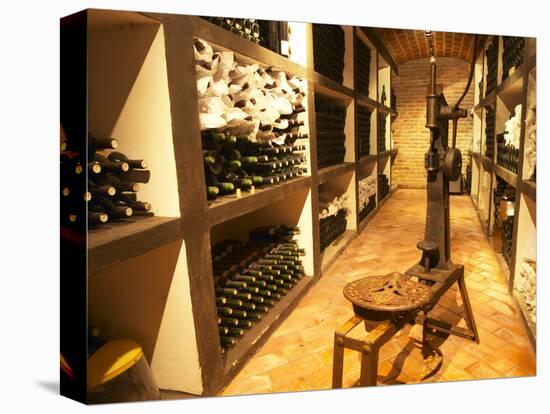 Bottle Aging Cellar, Bodega Pisano Winery, Progreso, Uruguay-Per Karlsson-Premier Image Canvas