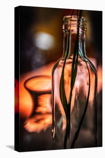 Bottle by the Window-Ursula Abresch-Premier Image Canvas