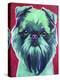 Bottle Green Brussels Griffon-Dawgart-Premier Image Canvas