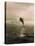 Bottlenose Dolphin Jumping Out of Water-Stuart Westmorland-Premier Image Canvas