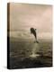 Bottlenose Dolphin Jumping Out of Water-Stuart Westmorland-Premier Image Canvas