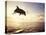 Bottlenose Dolphin Jumping Out of Water-Stuart Westmorland-Premier Image Canvas