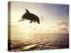 Bottlenose Dolphin Jumping Out of Water-Stuart Westmorland-Premier Image Canvas