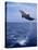 Bottlenose Dolphin Jumping-Stuart Westmorland-Premier Image Canvas