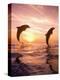 Bottlenose Dolphins, Caribbean Sea Near Roatan, Honduras-Stuart Westmoreland-Premier Image Canvas