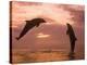 Bottlenose Dolphins, Caribbean Sea Near Roatan, Honduras-Stuart Westmoreland-Premier Image Canvas