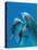 Bottlenose Dolphins, Pair Dancing Underwater-Augusto Leandro Stanzani-Premier Image Canvas