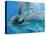 Bottlenose Dolphins, Three Close-Up of Heads Underwater-Augusto Leandro Stanzani-Premier Image Canvas