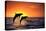 Bottlenosed Dolphins Leaping at Sunset-DLILLC-Premier Image Canvas