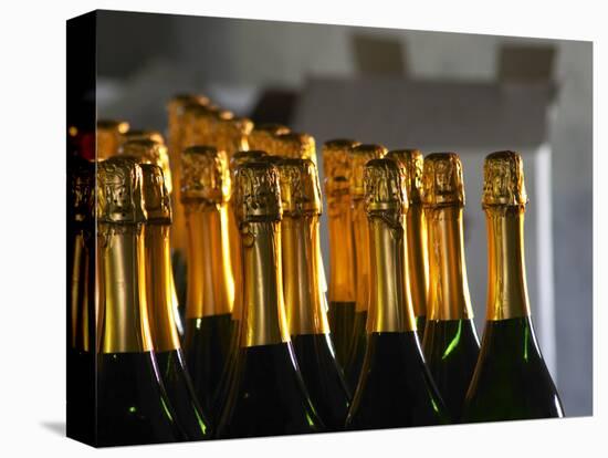 Bottles of Sparkling Wine, Bodega Carlos Pizzorno Winery, Canelon Chico, Canelones, Uruguay-Per Karlsson-Premier Image Canvas