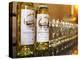 Bottles of White Wine Choteau, Leognan, Gironde, France-Per Karlsson-Premier Image Canvas