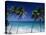 Bottom Bay, Barbados, Caribbean-Steve Vidler-Premier Image Canvas