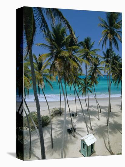Bottom Bay Beach, East Coast, Barbados, Windward Islands, West Indies, Caribbean, Central America-Sylvain Grandadam-Premier Image Canvas