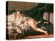 Boucher: L'Odalisque-Francois Boucher-Premier Image Canvas