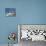 Boudhanath Stupa and Prayer Flags, Kathmandu, Nepal.-Ethan Welty-Premier Image Canvas displayed on a wall