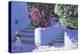 Bougainvillea, Anandas, Milos, Greek Islands-Andrew Macara-Premier Image Canvas