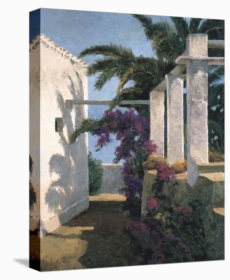Bougainvillea and Palm Trees-Poch Romeu-Stretched Canvas