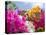 Bougainvillea, Cayman Brac, Cayman Islands, Caribbean-Greg Johnston-Premier Image Canvas