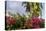 Bougainvillea Flora, Bavaro, Higuey, Punta Cana, Dominican Republic-Lisa S. Engelbrecht-Premier Image Canvas