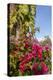 Bougainvillea Flora, Bavaro, Higuey, Punta Cana, Dominican Republic-Lisa S. Engelbrecht-Premier Image Canvas