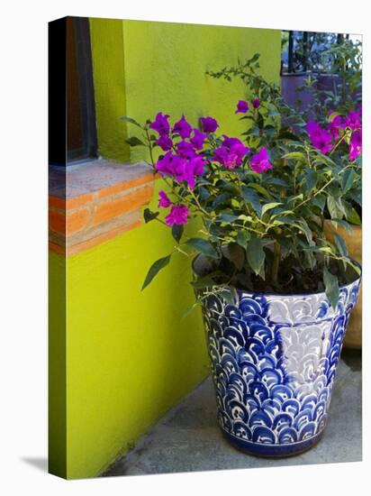 Bouganvilla in a Ceramic Pot, San Miguel De Allende, Guanajuato State, Mexico-Julie Eggers-Premier Image Canvas