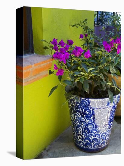 Bouganvilla in a Ceramic Pot, San Miguel De Allende, Guanajuato State, Mexico-Julie Eggers-Premier Image Canvas