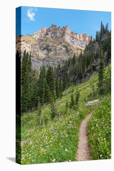 Boulder Pass Trail Glacier National Park, Montana-Alan Majchrowicz-Premier Image Canvas