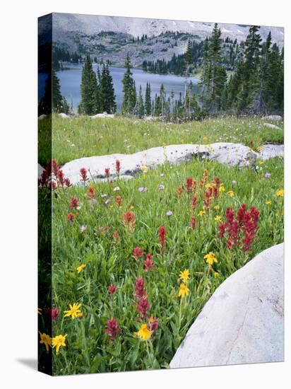 Boulders Amid Wildflowers, Ryder Lake, High Uintas Wilderness, Wasatch National Forest, Utah, USA-Scott T^ Smith-Premier Image Canvas