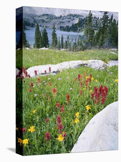 Boulders Amid Wildflowers, Ryder Lake, High Uintas Wilderness, Wasatch National Forest, Utah, USA-Scott T^ Smith-Premier Image Canvas