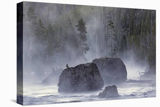 Boulders in Early Morning Mist, Gibbon River, Yellowstone National Park, Wyoming-Adam Jones-Premier Image Canvas