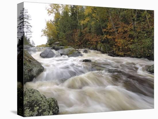 Boundary Waters Canoe Area Wilderness, Superior National Forest, Minnesota, USA-Gary Cook-Premier Image Canvas