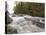 Boundary Waters Canoe Area Wilderness, Superior National Forest, Minnesota, USA-Gary Cook-Premier Image Canvas