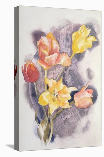 Bouquet, C.1923-Charles Demuth-Premier Image Canvas