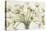 Bouquet di anemoni-Eva Barberini-Stretched Canvas