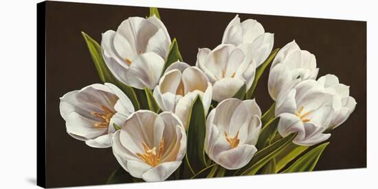 Bouquet di tulipani-Serena Biffi-Stretched Canvas