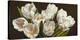 Bouquet di tulipani-Serena Biffi-Stretched Canvas