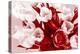 Bouquet from Several Tulips of Monochrome Red Color-malven-Premier Image Canvas
