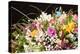 Bouquet of Colorful Flowers-maksheb-Premier Image Canvas