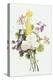 Bouquet of Mixed Flowers-Jean Louis Prevost-Premier Image Canvas