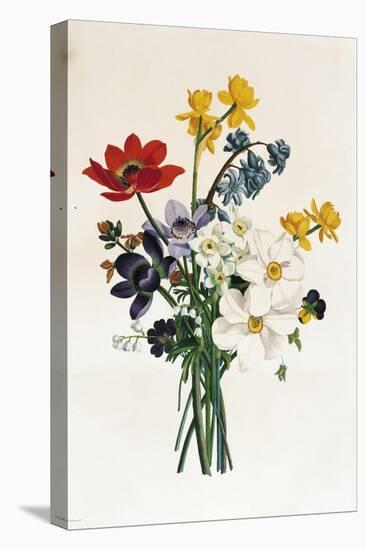 Bouquet of Narcissi and Anemone-Jean Louis Prevost-Premier Image Canvas