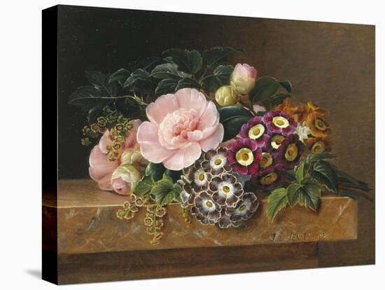 Bouquet of Pink Camellias and Primula on Marble Ledge-Johan Laurentz Jensen-Premier Image Canvas