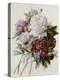 Bouquet of Red, Purple and White Peonies-Pierre Joseph Redouté-Premier Image Canvas