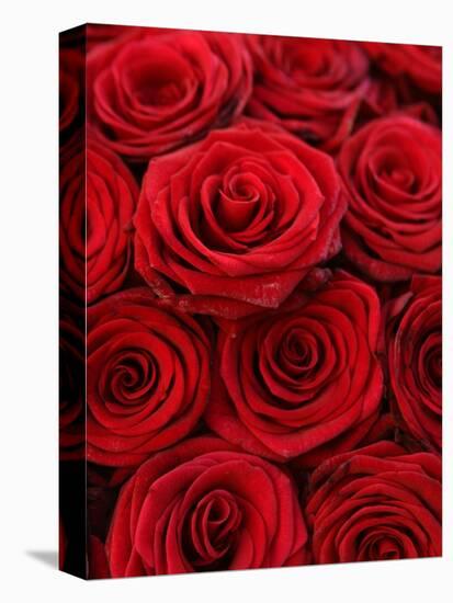 Bouquet of Red Roses-Owen Franken-Premier Image Canvas