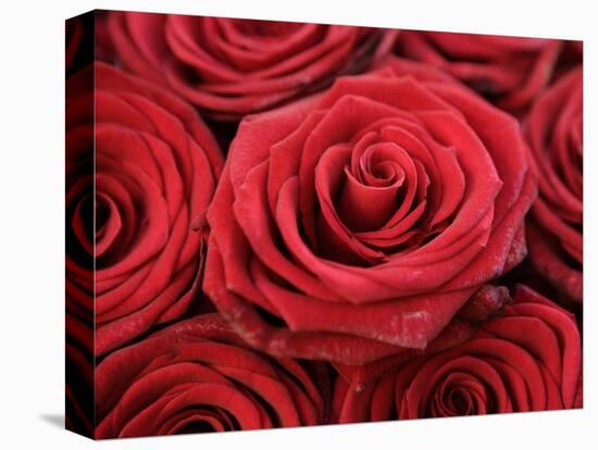 Bouquet of Red Roses-Owen Franken-Premier Image Canvas