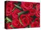 Bouquet of Red Roses-Clive Nichols-Premier Image Canvas